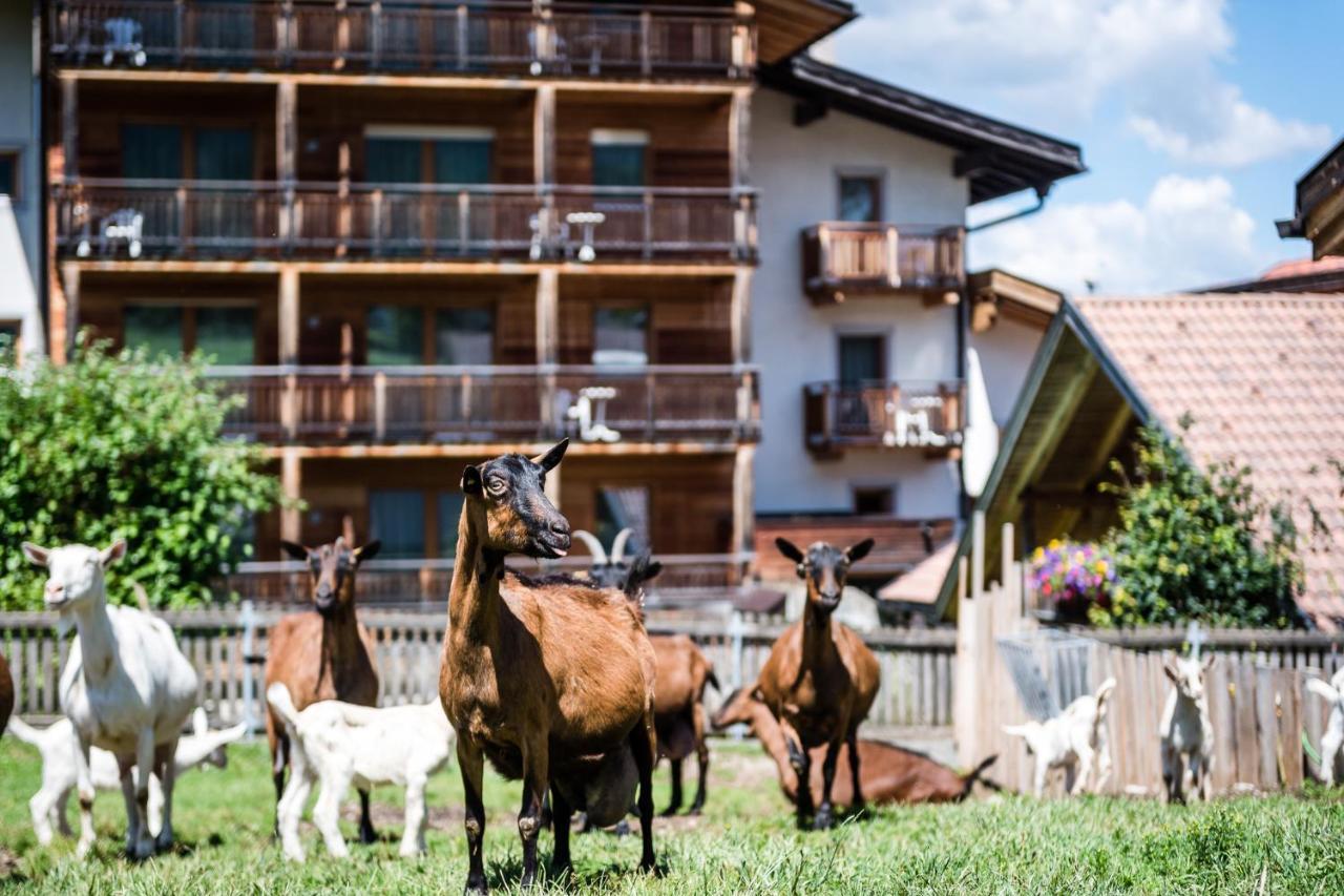 Sporthotel Exclusive San Vigilio Di Marebbe Exterior foto